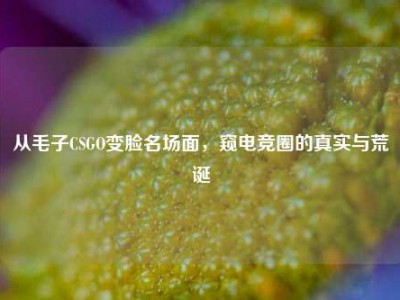 从毛子CSGO变脸名场面，窥电竞圈的真实与荒诞