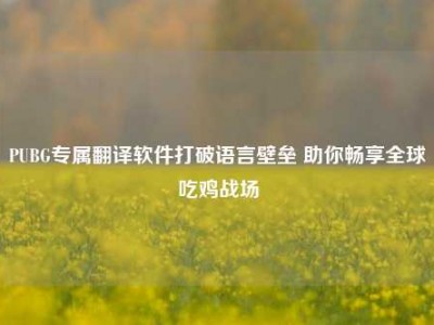 PUBG专属翻译软件打破语言壁垒 助你畅享全球吃鸡战场