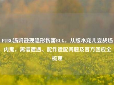 PUBG汤姆逊现隐形伤害BUG，从版本宠儿变战场内鬼，离谱遭遇、配件适配问题及官方回应全梳理