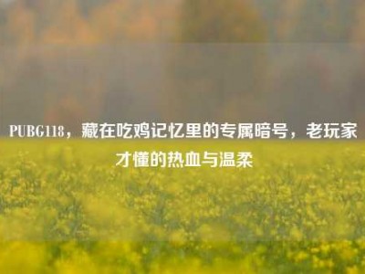 PUBG118，藏在吃鸡记忆里的专属暗号，老玩家才懂的热血与温柔