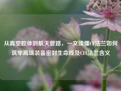 从真空腔体到航天管路，一文读懂CF法兰如何筑牢高端装备密封生命线及CF8法兰含义