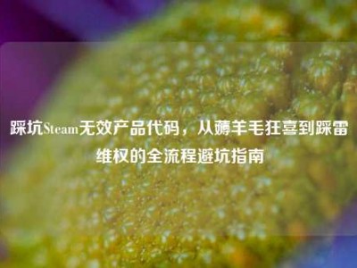 踩坑Steam无效产品代码，从薅羊毛狂喜到踩雷维权的全流程避坑指南