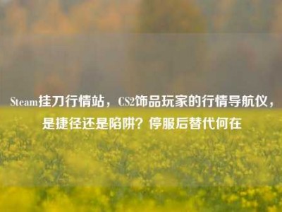 Steam挂刀行情站，CS2饰品玩家的行情导航仪，是捷径还是陷阱？停服后替代何在