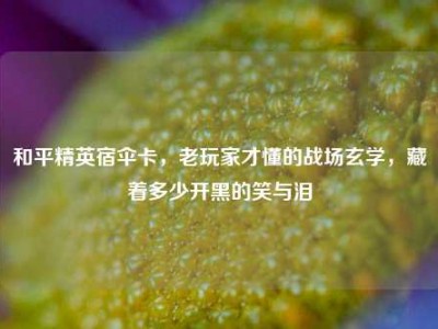 和平精英宿伞卡，老玩家才懂的战场玄学，藏着多少开黑的笑与泪