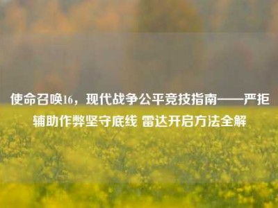 使命召唤16，现代战争公平竞技指南——严拒辅助作弊坚守底线 雷达开启方法全解