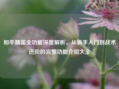 和平精英全功能深度解析，从新手入门到战术进阶的完整功能介绍大全