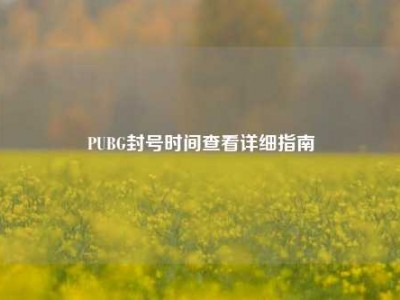 PUBG封号时间查看详细指南