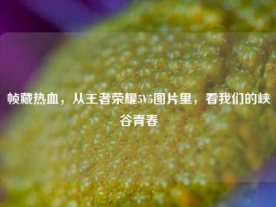 帧藏热血，从王者荣耀5V5图片里，看我们的峡谷青春