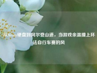 从Steam硬盘到阿尔登山道，当游戏余温撞上环法自行车赛的风