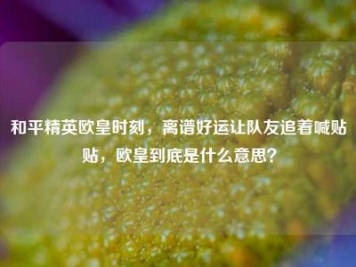 和平精英欧皇时刻，离谱好运让队友追着喊贴贴，欧皇到底是什么意思？