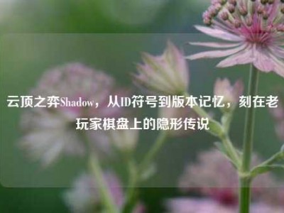 云顶之弈Shadow，从ID符号到版本记忆，刻在老玩家棋盘上的隐形传说