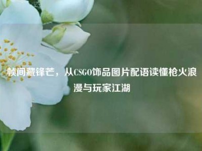 帧间藏锋芒，从CSGO饰品图片配语读懂枪火浪漫与玩家江湖