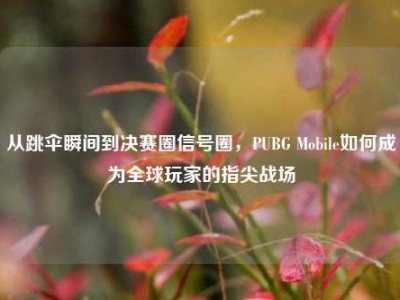 从跳伞瞬间到决赛圈信号圈，PUBG Mobile如何成为全球玩家的指尖战场