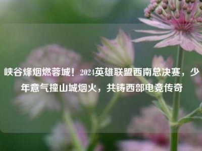 峡谷烽烟燃蓉城！2024英雄联盟西南总决赛，少年意气撞山城烟火，共铸西部电竞传奇