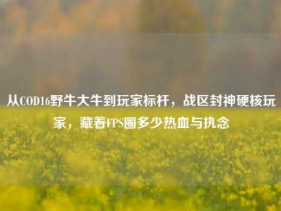 从COD16野牛大牛到玩家标杆，战区封神硬核玩家，藏着FPS圈多少热血与执念
