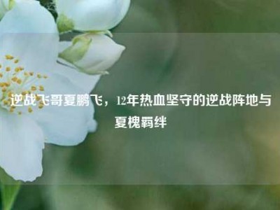 逆战飞哥夏鹏飞，12年热血坚守的逆战阵地与夏槐羁绊