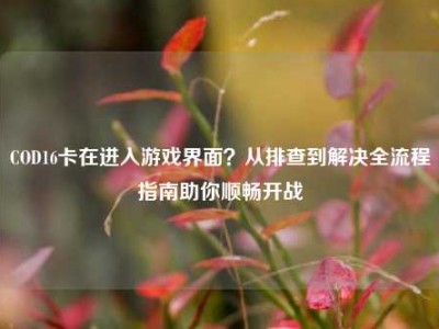 COD16卡在进入游戏界面？从排查到解决全流程指南助你顺畅开战