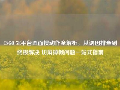 CSGO 5E平台画面慢动作全解析，从诱因排查到终极解决 切屏掉帧问题一站式指南