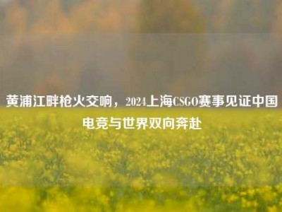 黄浦江畔枪火交响，2024上海CSGO赛事见证中国电竞与世界双向奔赴