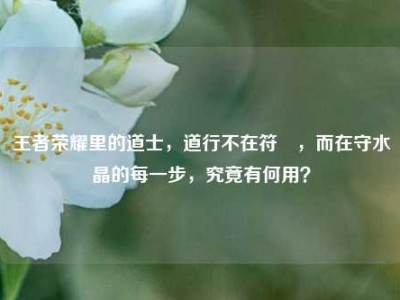 王者荣耀里的道士，道行不在符箓，而在守水晶的每一步，究竟有何用？