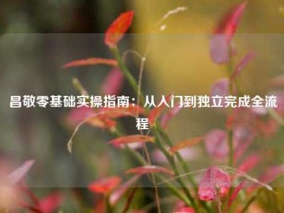 昌敬零基础实操指南：从入门到独立完成全流程