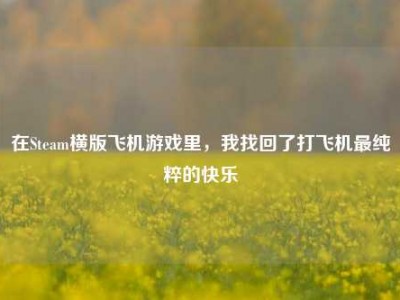 在Steam横版飞机游戏里，我找回了打飞机最纯粹的快乐