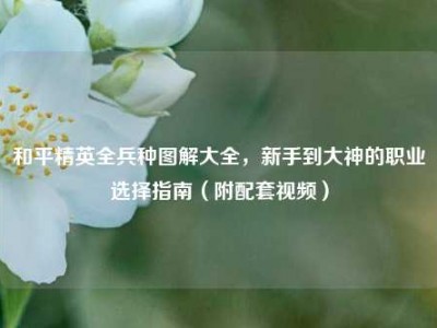 和平精英全兵种图解大全，新手到大神的职业选择指南（附配套视频）
