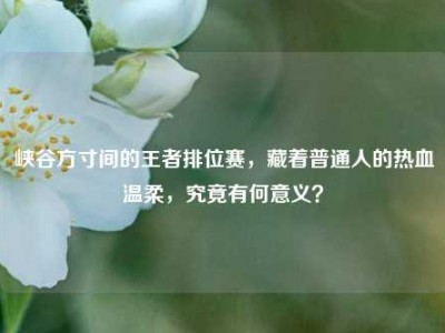 峡谷方寸间的王者排位赛，藏着普通人的热血温柔，究竟有何意义？