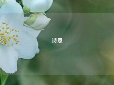 诗恩
