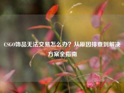 CSGO饰品无法交易怎么办？从原因排查到解决方案全指南