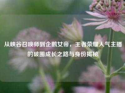从峡谷召唤师到企鹅女帝，王者荣耀人气主播的破圈成长之路与身份揭秘