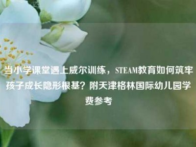 当小学课堂遇上威尔训练，STEAM教育如何筑牢孩子成长隐形根基？附天津格林国际幼儿园学费参考