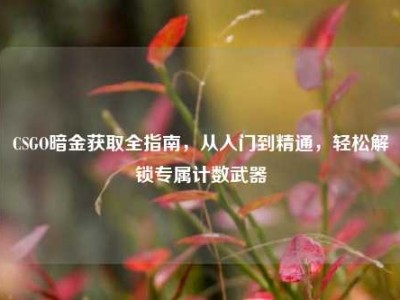 CSGO暗金获取全指南，从入门到精通，轻松解锁专属计数武器