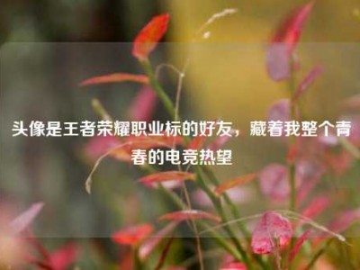 头像是王者荣耀职业标的好友，藏着我整个青春的电竞热望