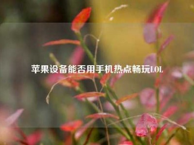苹果设备能否用手机热点畅玩LOL