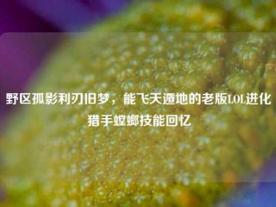 野区孤影利刃旧梦，能飞天遁地的老版LOL进化猎手螳螂技能回忆