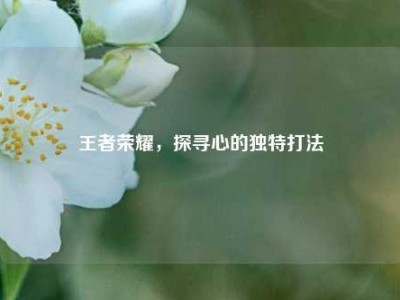 王者荣耀，探寻心的独特打法