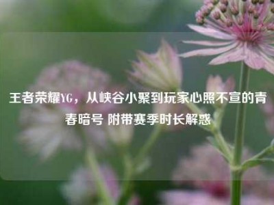 王者荣耀YG，从峡谷小聚到玩家心照不宣的青春暗号 附带赛季时长解惑
