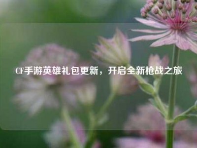 CF手游英雄礼包更新，开启全新枪战之旅