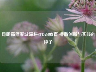 昆明高原春城深耕STEAM教育 播撒创新与实践的种子