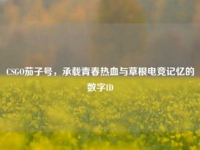 CSGO茄子号，承载青春热血与草根电竞记忆的数字ID