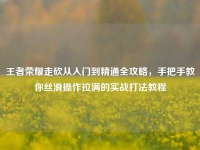 王者荣耀走砍从入门到精通全攻略，手把手教你丝滑操作拉满的实战打法教程