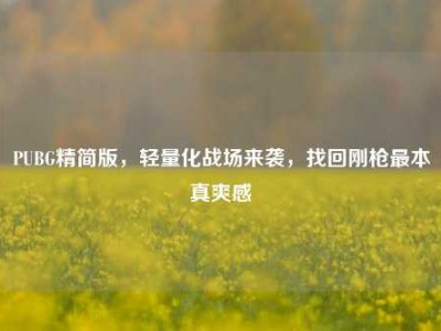 PUBG精简版，轻量化战场来袭，找回刚枪最本真爽感
