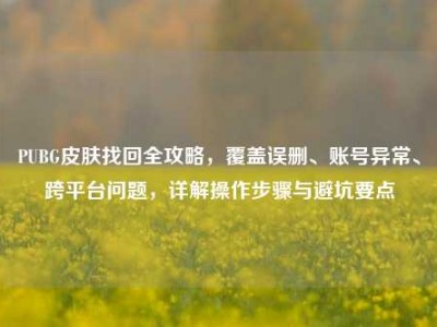 PUBG皮肤找回全攻略，覆盖误删、账号异常、跨平台问题，详解操作步骤与避坑要点