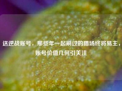 送逆战账号，那些年一起刷过的猎场终将易主，账号价值几何引关注
