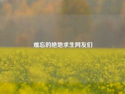 难忘的绝地求生网友们