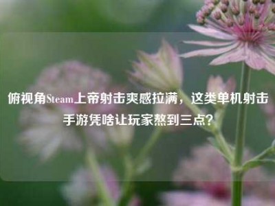 俯视角Steam上帝射击爽感拉满，这类单机射击手游凭啥让玩家熬到三点？