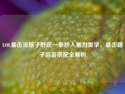 LOL暴击流瞎子野区一拳秒人暴力美学，暴击瞎子装备搭配全解析