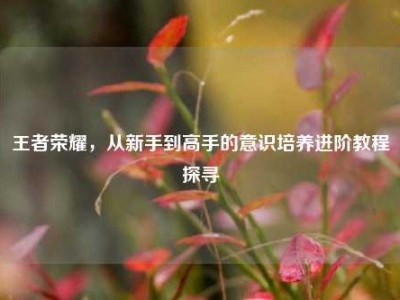 王者荣耀，从新手到高手的意识培养进阶教程探寻