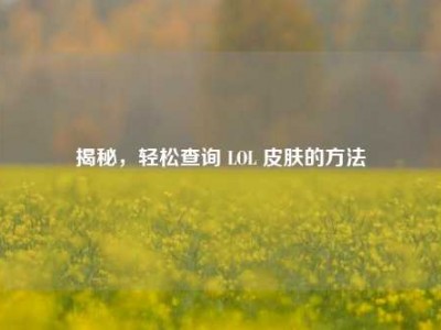 揭秘，轻松查询 LOL 皮肤的方法